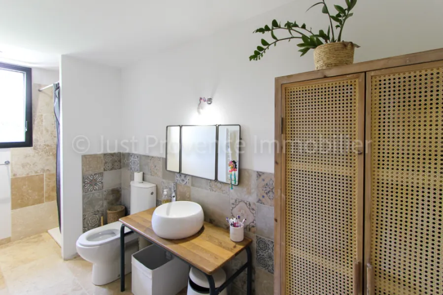 Provençal stone farmhouse in Carpentras, 9 rooms of approximately 233.40 m2 with swimming pool.